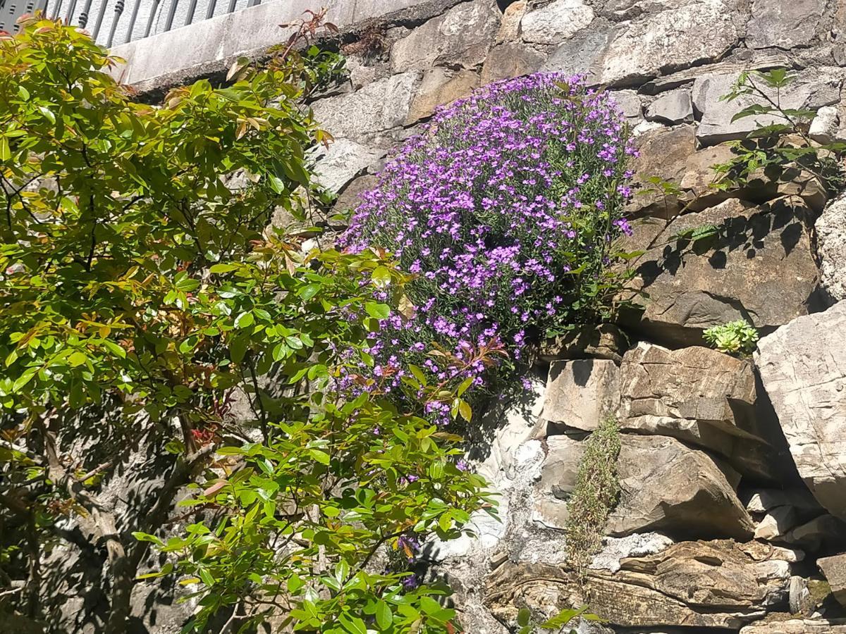 Torre Del Grifone Nel Medioevo Di Cividale Del Friuli Βίλα Faedis Εξωτερικό φωτογραφία