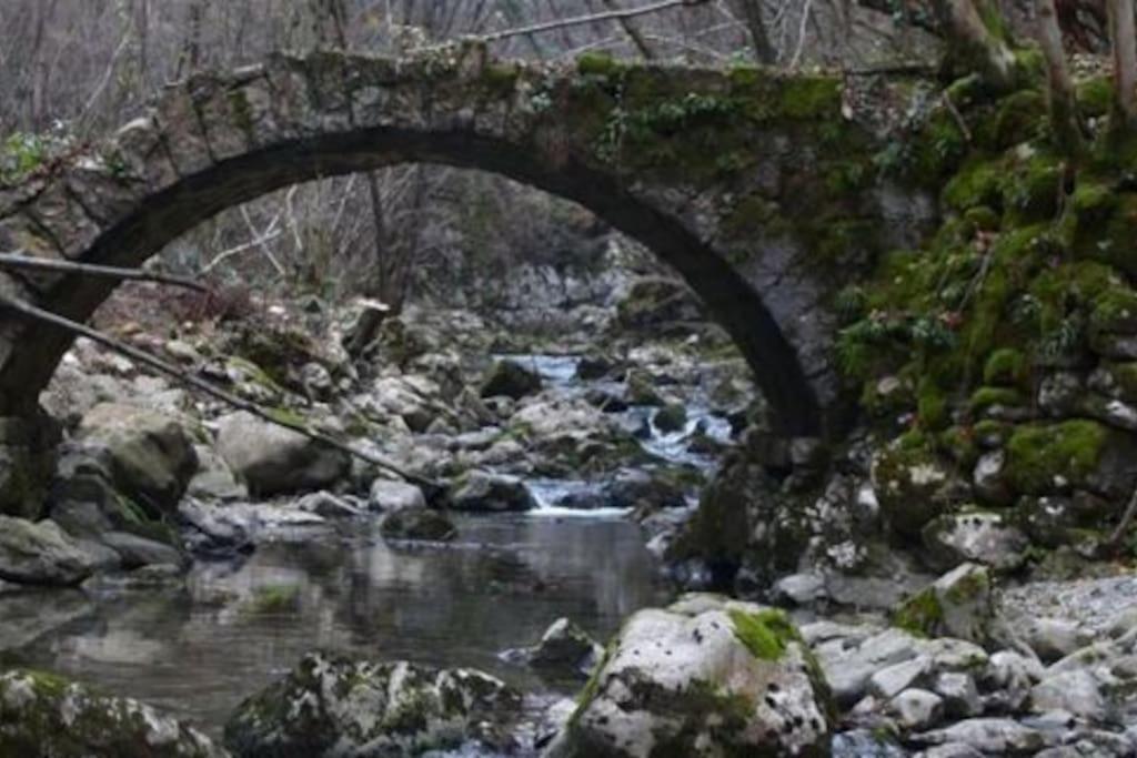 Torre Del Grifone Nel Medioevo Di Cividale Del Friuli Βίλα Faedis Εξωτερικό φωτογραφία